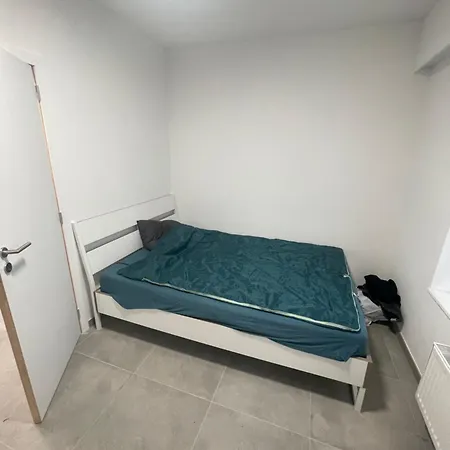 Sterna * リエージュ